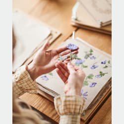 Gallery media #5