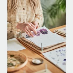 Gallery media #7